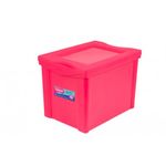 Organizador-Medio-Alto-Colors-Rosa-30-Litros-Ordene