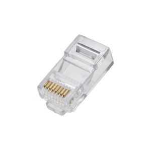 Conector Rj45 Granel Cewp