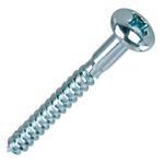 Parafuso-para-Bucha-Philips-Cabeca-Panela-4-8x55mm-8mm-Bemfixa