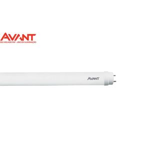 Lâmpada LED Tubo T8 Vidro Branco 6500K 9W Bivolt Avant