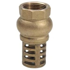 Valvula Retencao F/Poco 1" Crivo Fudico 271110 Higiban