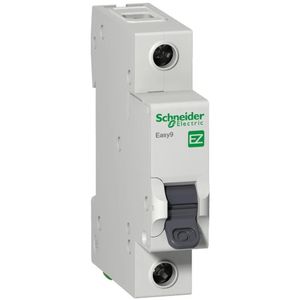 Disjuntor 1p 40a 3ka 230v Ca Curva c Schneider
