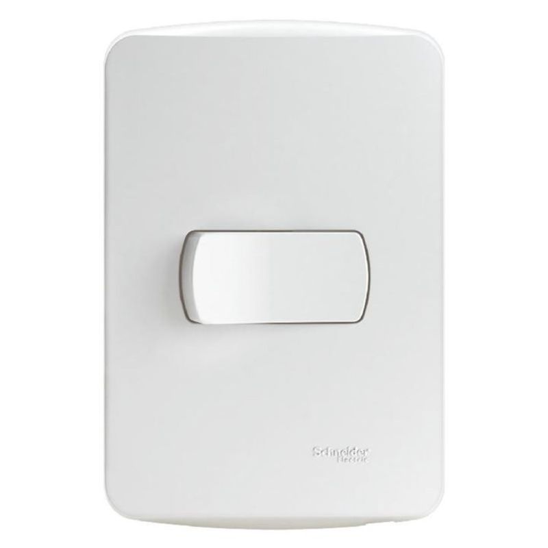 Conjunto-Montado-1-Interruptor-Bipolar-Simples-10-Amperes-250-Volts-Schneider