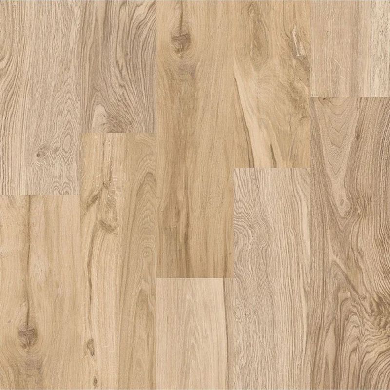 Piso-Palazzo-Retificado-Polido-60x60cm-Caixa-Com-1-80m--Rocha-Forte