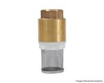 Valvula-Retencao-Fundo-de-Poco-3-4--Crivo-Inox-271083-Tec-Flux-Higiban