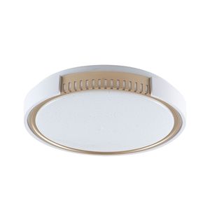 Plafon Redondo Young Led 24W 100 V 240V Blumenau