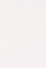 Revestimento-33x46-Quartzo-Branco-Acetinado-Cx2-23m--Cerbras