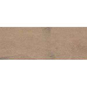 Porcelanato Arbor Canela Acetinado Caixa Com 1,42M² Eliane