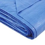 Lona-Polietileno-Azul-3x3-Metros-Kala