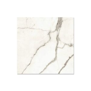 Piso Venezia Polido Retificado 74x74cm Caixa Com 2,20m² Fiorano