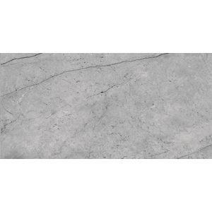 Piso 56x113Cm Vision Gray Polido Vivence PR313008 Incopisos