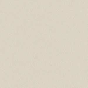 Piso Avolio Retificado Polido Extra 66x66Cm Cx2,18m² Formigres