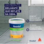 Clean-Max-Removedor-de-Epoxi-Portokoll
