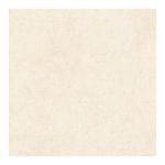 Piso-61x61-Palmi-Plus-Retificado-Caixa-Com-2-23m--Fiorano