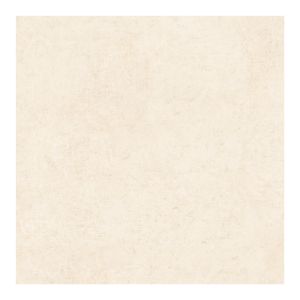 Piso 61x61 Palmi Plus Retificado Caixa Com 2,23m² Fiorano