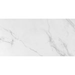 Porcelanato-59x118-2-Place-Esmaltado-Acetinado-Em-Uma-Caixa-Com-de-1-39m--Eliane