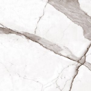 Piso Retificado Brilhante 70x70Cm R70023 Cx3,43m² Victória Cerâmica